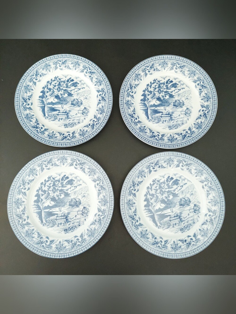 Set of 4 Royal Heritage Country Cottage Salad Plates 7.5” Blue White Porcelain